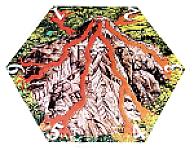 Catan: Catakatoa