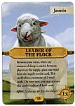 Catan: The Helpers – Leader of the Flock