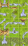 Fisherman: Swan Lake (fan expansion for Carcassonne)