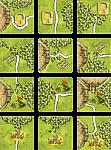 Circles in the Forest (fan expansion for Carcassonne)